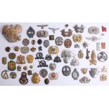 A collection of approx. 52 miscellaneous interesting and decorative military cap and other badges