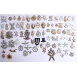 A collection of approx. 80 military cap badges including SAS, Glider Pilot Regiment and many