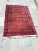 A patterned floor rug label marked 'Tribal', 1.60m x 2.30m.