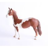 Beswick, an unglazed piebald brown horse, height 17cm.