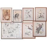 A collection of pictures to include Marjorie Blamey prints, 28cm x 23cm.