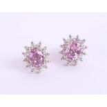 A pair of 18ct pink sapphire and diamond cluster earrings, in white gold.