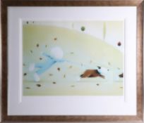 Doug Hyde, signed print 'Catch me if you can', limited edition 441/495, framed and glazed, overall