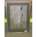 FRAMED AND GLAZED PASTEL 'ARAB STALLION'