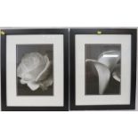 TWO FRAMED AND GLAZED FLORAL IMAGES