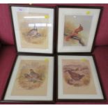 THREE ENDORSED PRINTS OF BIRDS AFTER SUE WHITAKER AND ENDORSED PRINT OF RED SQUIRREL AFTER JOHN