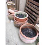 EIGHT ASSORTED TERRACOTTA AND CLAY GARDEN POTS WITH CONTENTS (A/F)