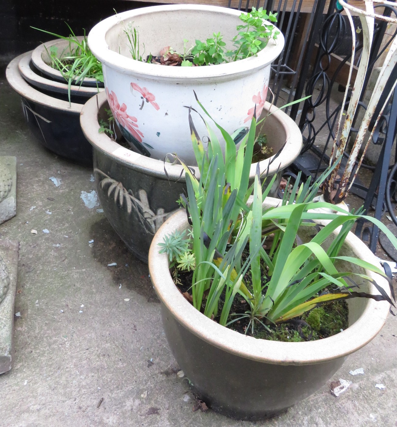 SIX GLAZED CERAMIC GARDEN POTS WITH CONTENTS