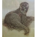 FRAMED AND MOUNTED ENDORSED LIMITED EDITION PRINT OF OTTER AFTER SIMON TURVEY (4 / 50)