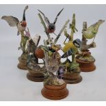 Six limited edition porcelain figures of birds by David Bowkett Ceramics Devon, each numbered and on