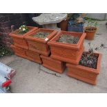 SEVEN SQUARE TERRACOTTA PLANTERS WITH CONTENTS