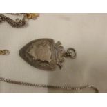 SILVER MEMORIAL SHIELD-SHAPE PENDANT, 9 CARAT GOLD CRUCIFIX PENDANT, 925 SILVER CHAIN, MICROCHAIN,