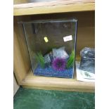 SMALL SQUARE GLASS FISH TANK WITH ELECTRIC PUMP/FILTER