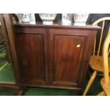 AN EARLY TWENTIETH CENTURY TWO DOOR MAHOGANY STORAGE CUPBOARD.