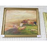 OIL ON CANVAS OF HORNED CATTLE IN LANDSCAPE SIGNED D TIMMINGTON LOWER RIGHT