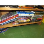 ONE SHELF OF REFERENCE BOOKS