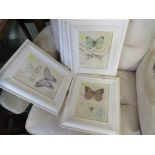 FIVE DECORATIVE FRAMED PRINTS OF BUTTERFLIES