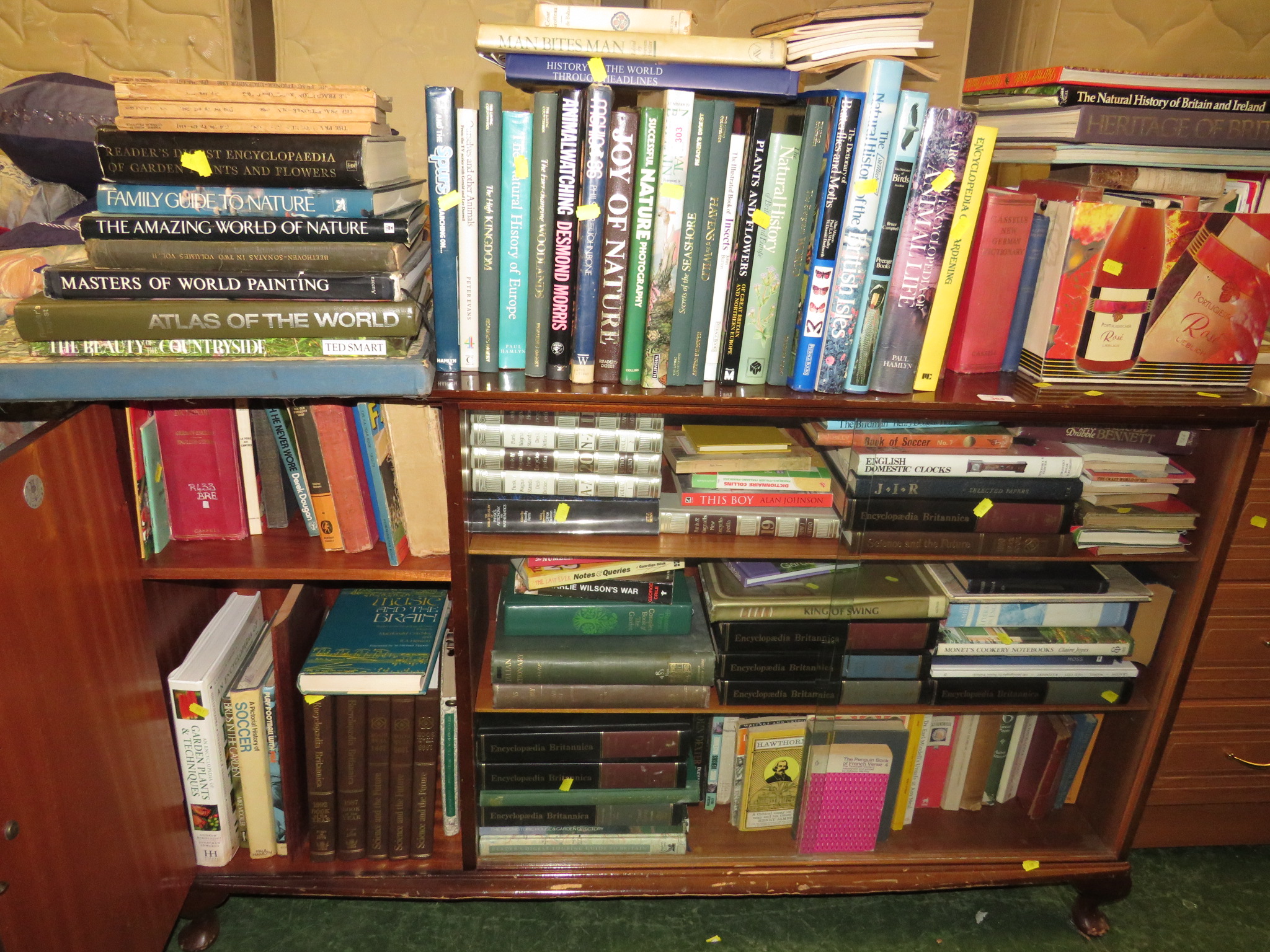 SIX SHELVES OF FICTION AND REFERENCE BOOKS