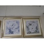 PAIR OF FRAMED AND GLAZED PRINTS OF WHITE FLOWERS