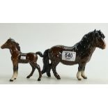 Beswick Shetland Pony model 1033: togeth