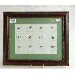 12 x fishing flies framed 35cm x 42cm ov