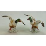 Beswick Shelldrake Duck: Shelldrake Duck (Rising - Beak Closed) 994 x 2