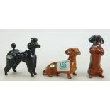 Beswick dogs to include Poodle 1386: ( black gloss), Seated dachshund 1460 a standing Dachshund 3013