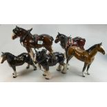 A collection of Sadler & similar dressed shire horses(5):