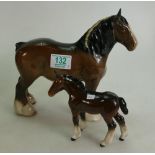 Beswick 818 Shire Horse: together with shire foal 1053(2)