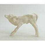 Royal Doulton model of a Calf in cream glaze: Designed by Roal Schoor, height 15.5cm.