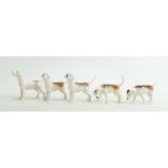 Beswick Fox hounds to include: 2263 x 2, 2262, 2264 and 2265.