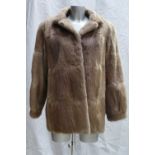 A Musquash fur ladies Jacket: Size 12.