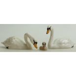 Three Beswick Swans: One with head down 1685, head up 1684 and a Cygnet 1686.