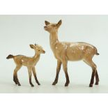 Beswick models of a Doe and Fawn: Doe Beswick model number 999A together with a Fawn.
