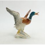 Beswick Mallard Rising 749: