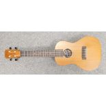 The Joe Brown concert Ukulele in case: Overall length 61cm.