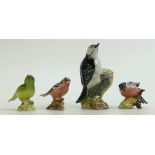 Beswick Woodpecker, Greenfinch, Bullfinch and Chaffinch: Lesser Spotted Woodpecker 2420,