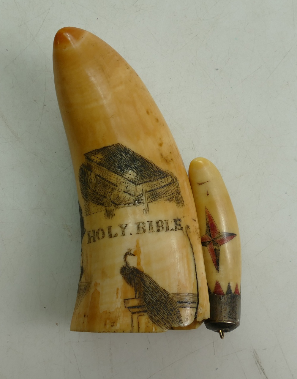A 19th century Scrimshaw Whales Tooth: Incised with a holy bible, - Image 3 of 3