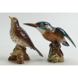 Beswick Kingfisher: Model 2371 and a Songthrush 2308.