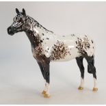 Beswick Appaloosa stallion horse 1772 :