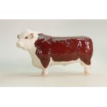 Beswick rare model of a Polled Hereford Bull 1363: A rare version without horns.