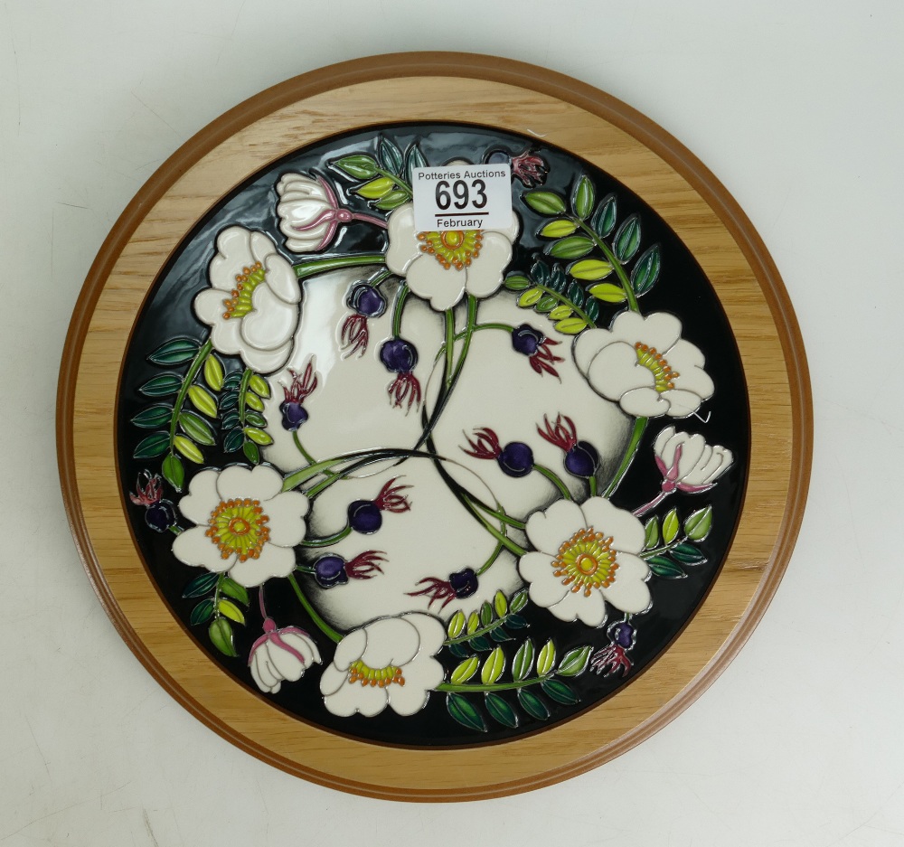 Moorcroft RHS Scotch Rose Plaque: Moorcr