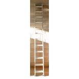 Aluminium 2 rung ladders: