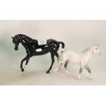 Royal Doulton Welsh Mountain Pony: and Similar Black Beauty(2)