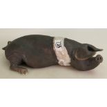 A raku pottery model of a reclining black & white pig by LAWSON C RUDGE: , signed,