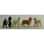 Beswick Black poodle 1386: Collie 1814, white poodle 1386 and golden Labrador 1956 (4)