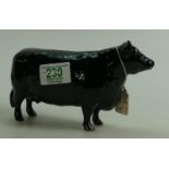 Beswick Aberdeen Angus cow: model 1563