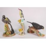 Crown Staffordshire J.T.Jones type Bird figures: Black Bird, Widow & Humming Bird(3)