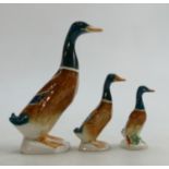Beswick Mallard ducks: to include 756/1, 756/2a and 756/3 (3)