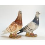 Beswick Pigeons 1383: in grey (damaged base) and Beswick Pigeon 1383 in brown (2)